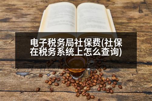 電子稅務(wù)局社保費(社保在稅務(wù)系統(tǒng)上怎么查詢)