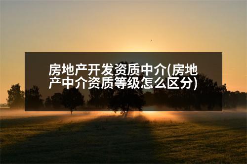 房地產(chǎn)開發(fā)資質(zhì)中介(房地產(chǎn)中介資質(zhì)等級(jí)怎么區(qū)分)