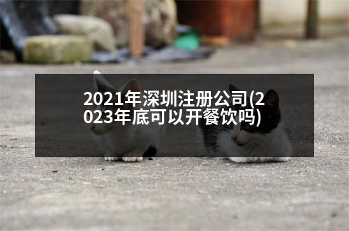 2021年深圳注冊(cè)公司(2023年底可以開(kāi)餐飲嗎)