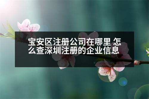 寶安區(qū)注冊公司在哪里 怎么查深圳注冊的企業(yè)信息