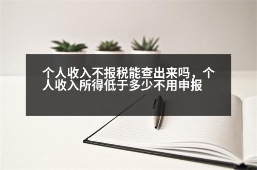 個人收入不報稅能查出來嗎，個人收入所得低于多少不用申報