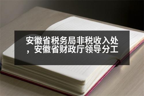 安徽省稅務局非稅收入處，安徽省財政廳領導分工