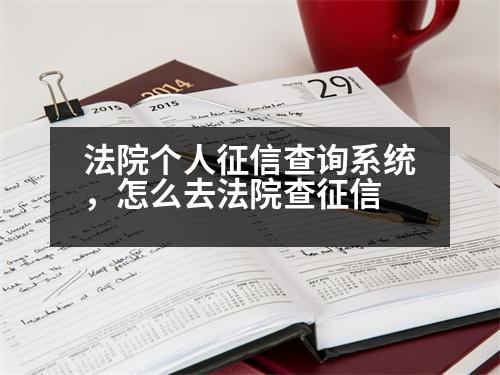 法院個人征信查詢系統(tǒng)，怎么去法院查征信