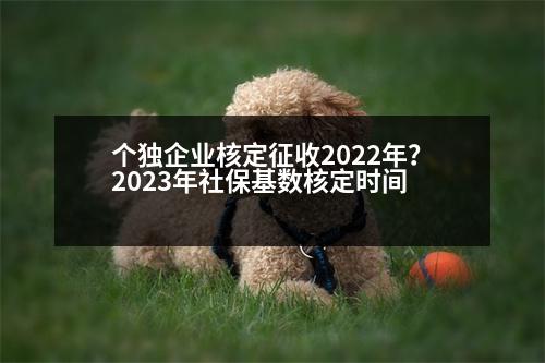 個獨企業(yè)核定征收2022年？2023年社?；鶖?shù)核定時間