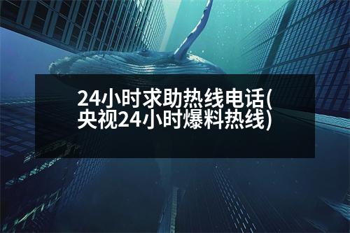 24小時(shí)求助熱線電話(央視24小時(shí)爆料熱線)