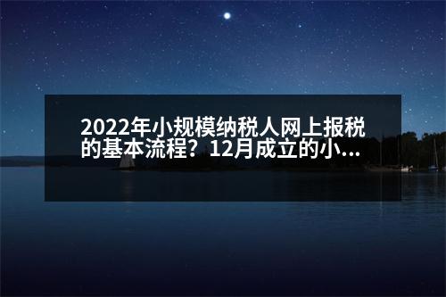 2022年小規(guī)模納稅人網(wǎng)上報(bào)稅的基本流程？12月成立的小規(guī)模納稅人如何報(bào)稅