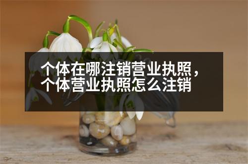 個體在哪注銷營業(yè)執(zhí)照，個體營業(yè)執(zhí)照怎么注銷