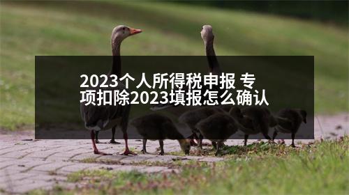 2023個人所得稅申報 專項扣除2023填報怎么確認(rèn)