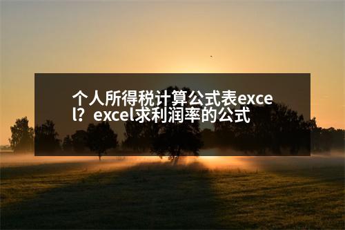 個(gè)人所得稅計(jì)算公式表excel？excel求利潤率的公式