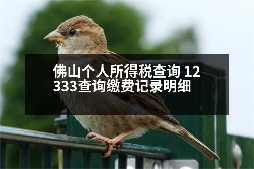 佛山個人所得稅查詢 12333查詢繳費(fèi)記錄明細(xì)