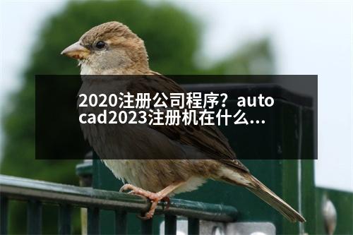 2020注冊(cè)公司程序？autocad2023注冊(cè)機(jī)在什么位置