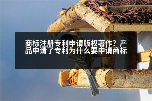 商標注冊專利申請版權(quán)著作？產(chǎn)品申請了專利為什么要申請商標