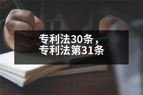 專利法30條，專利法第31條