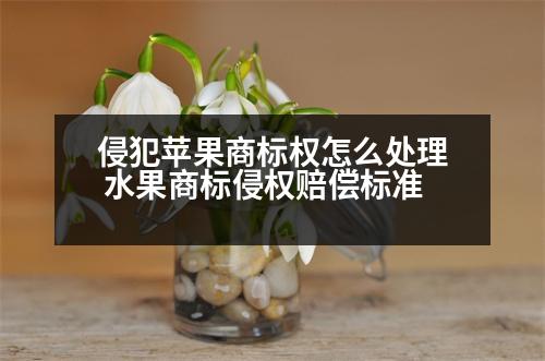 侵犯蘋果商標(biāo)權(quán)怎么處理 水果商標(biāo)侵權(quán)賠償標(biāo)準(zhǔn)