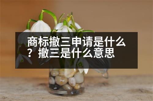 商標(biāo)撤三申請(qǐng)是什么？撤三是什么意思