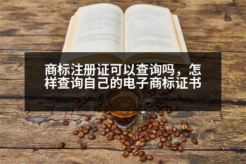 商標(biāo)注冊(cè)證可以查詢(xún)嗎，怎樣查詢(xún)自己的電子商標(biāo)證書(shū)