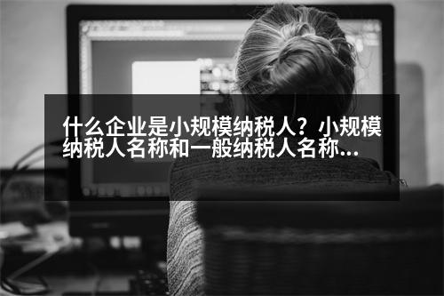 什么企業(yè)是小規(guī)模納稅人？小規(guī)模納稅人名稱和一般納稅人名稱后面都是“公司”嗎