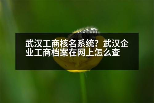 武漢工商核名系統(tǒng)？武漢企業(yè)工商檔案在網(wǎng)上怎么查